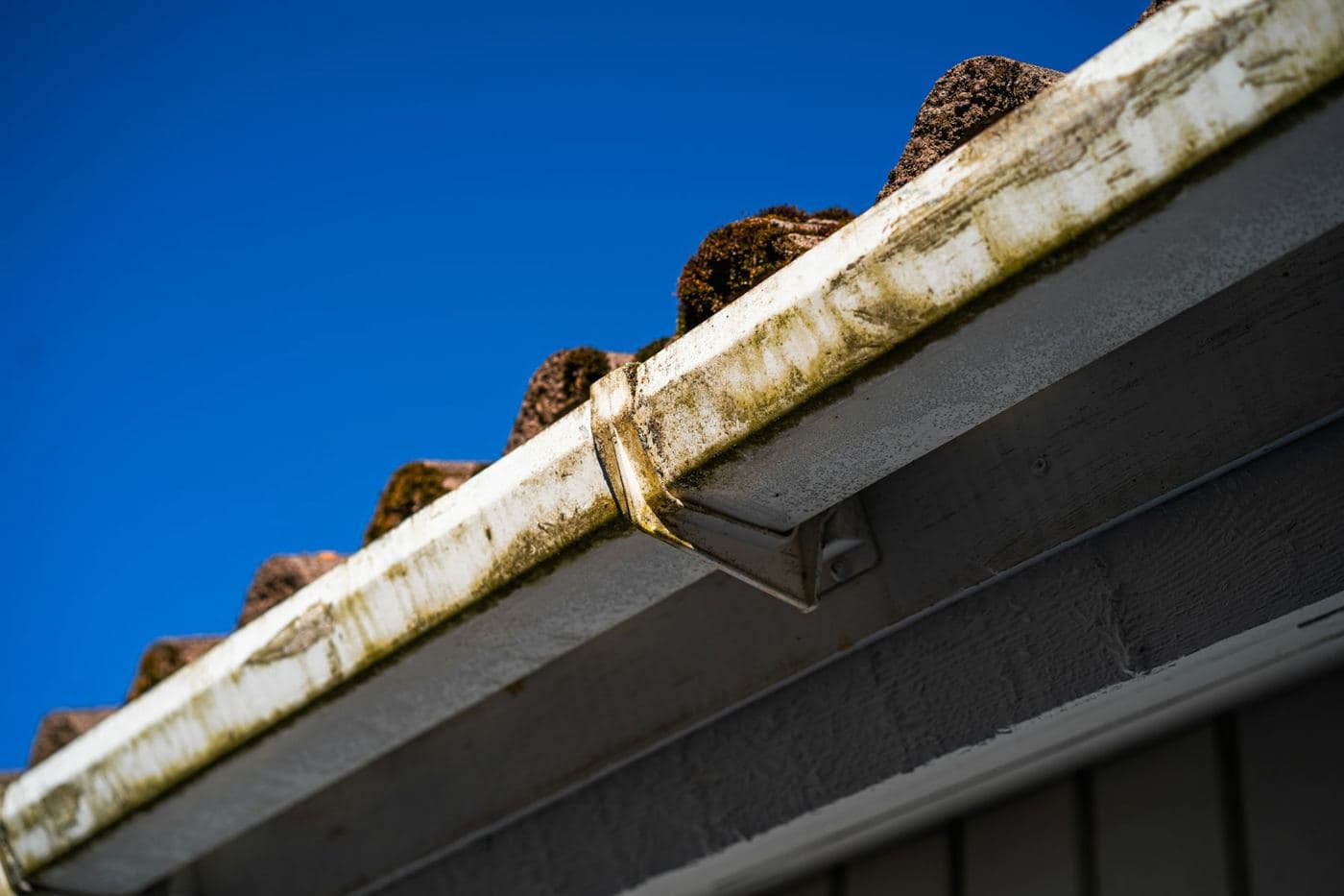 Moss and debris blocking a gutter, seen from below